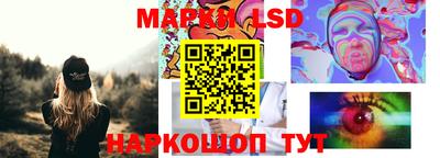 МДПВ Бердск